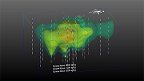 Nested Xylene Plumes