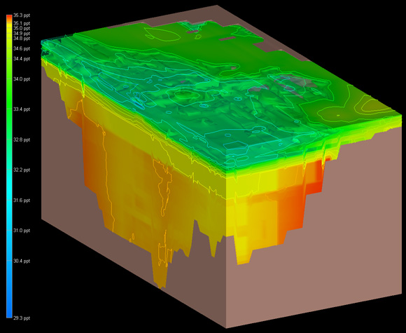 3D model of a portion of the Skagerrak Straight created using EVS three-dimensional kriging techniques