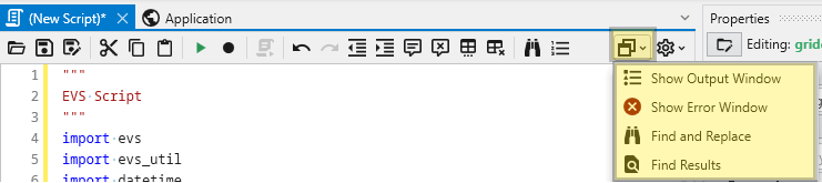 The Information Menu in the Python Script Editor toolbar.